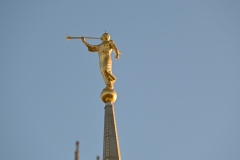 Ogden-UT-Temple-15