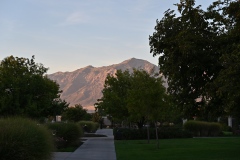 Ogden-UT-Temple-28