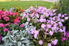 temple_square_flowers_12