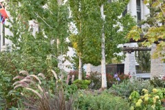 temple_square_flowers_14