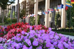 temple_square_flowers_17