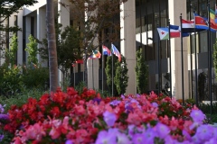 temple_square_flowers_19