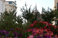 temple_square_flowers_20