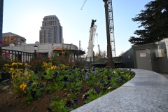 temple_square_flowers_9