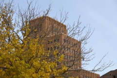 DSC_0738